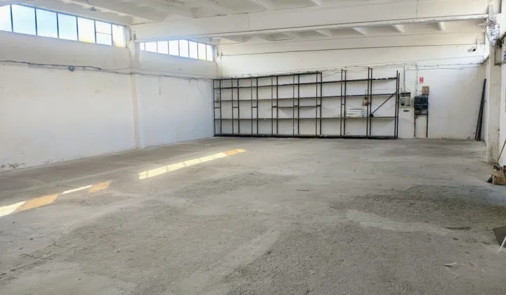 Hala/magazyn Toruń, ul. Lipnowska