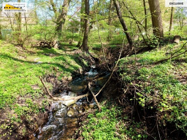 Działka budowlana Różańsko. Zdjęcie 10