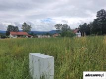 Działka budowlana Stary Wielisław. Zdjęcie 2