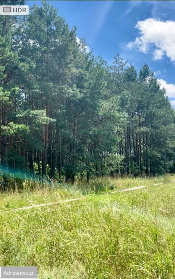 Działka Prądki. Zdjęcie 5