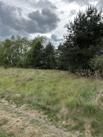 Działka rolno-budowlana Rogoźno, ul. Brzozowa. Zdjęcie 3