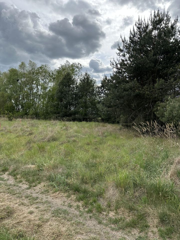 Działka rolno-budowlana Rogoźno, ul. Brzozowa. Zdjęcie 3