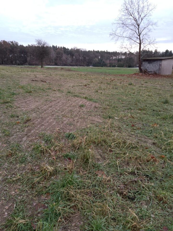 Działka budowlana Grzybów. Zdjęcie 2