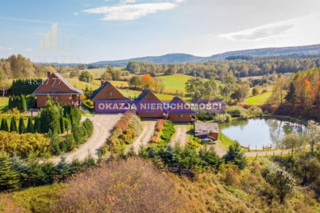 Lokal Równia. Zdjęcie 18