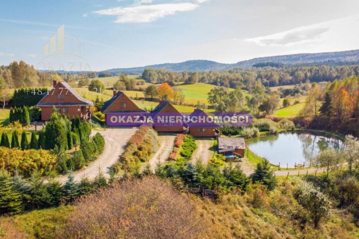 Lokal Równia. Zdjęcie 18