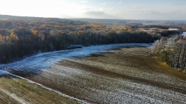 Działka inwestycyjna Wilkowa. Zdjęcie 4