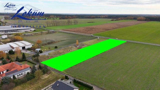 Działka budowlana Gołanice, ul. Leśna. Zdjęcie 5