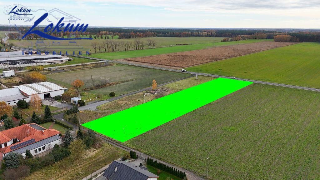 Działka budowlana Gołanice, ul. Leśna. Zdjęcie 5