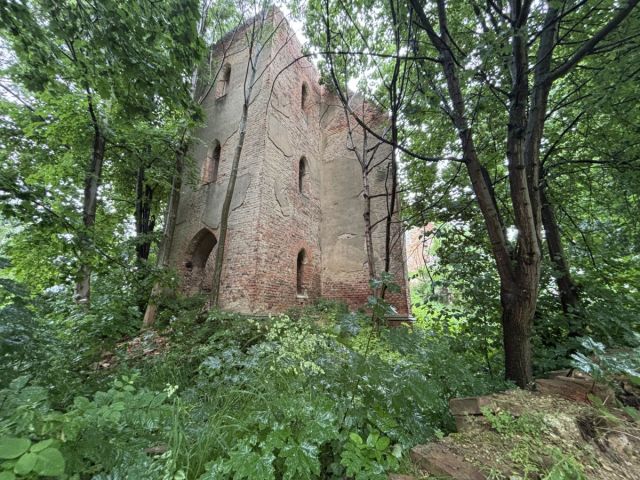 dom wolnostojący, 4 pokoje Wiązów. Zdjęcie 13
