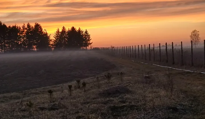 Działka rolno-budowlana Nasutów