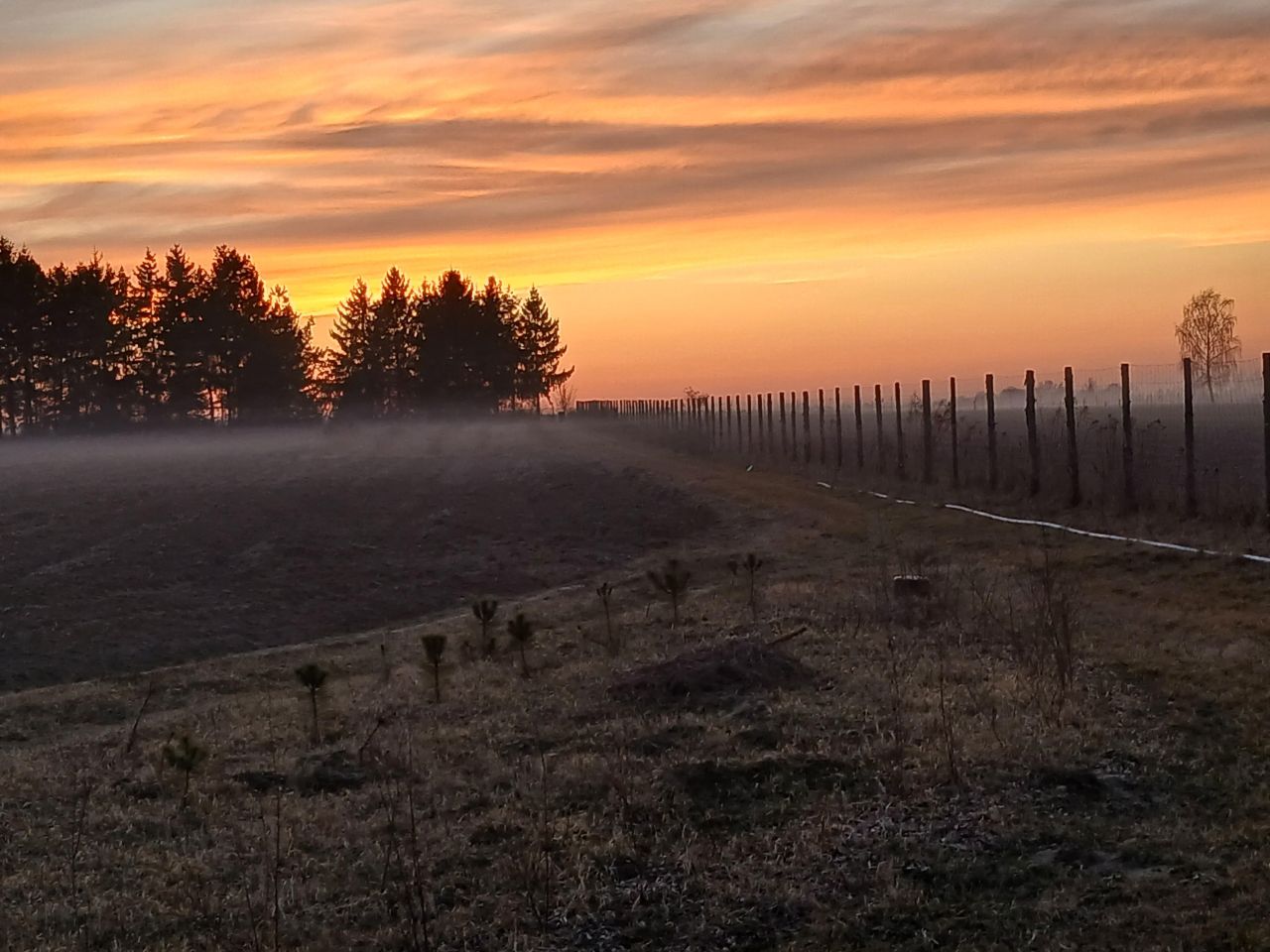 Działka rolno-budowlana Nasutów. Zdjęcie 1