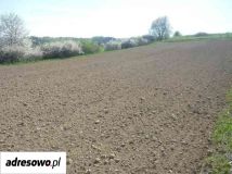 Działka budowlana Brzozów. Zdjęcie 2
