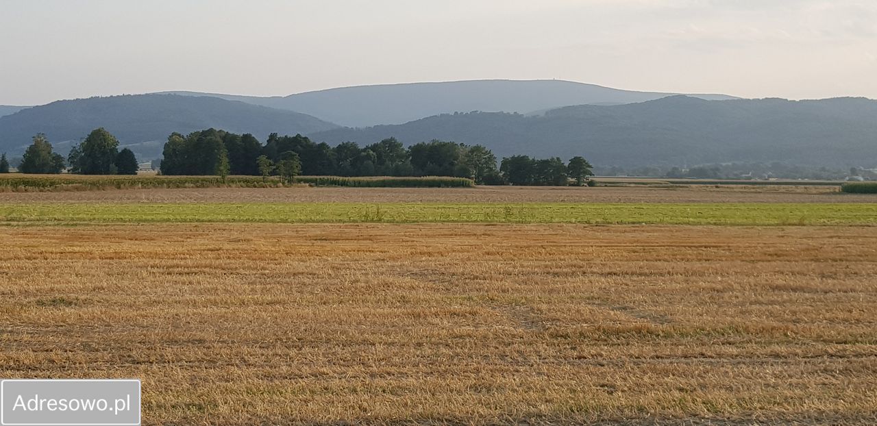 Działka siedliskowa Pieszyce Bratoszów. Zdjęcie 8
