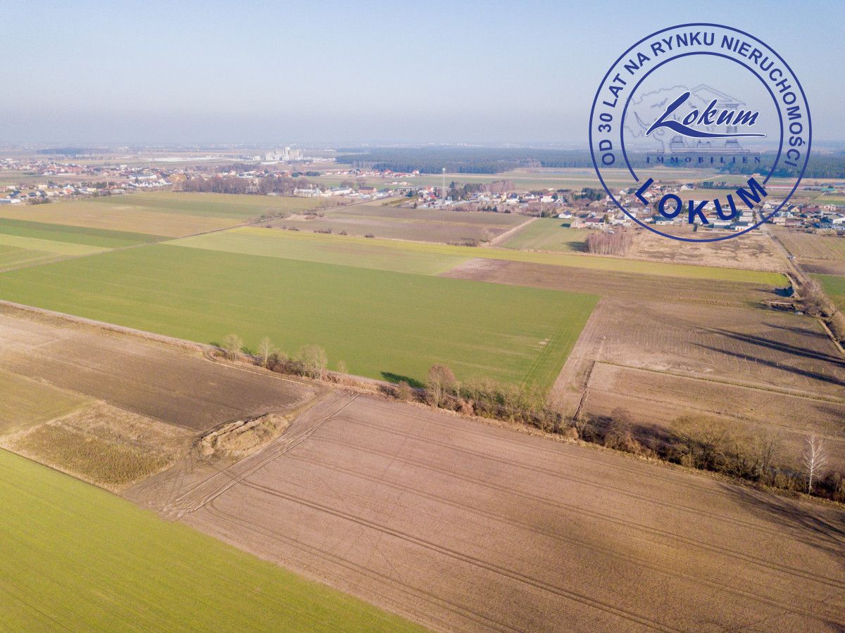 Działka siedliskowa Przybyszewo. Zdjęcie 2