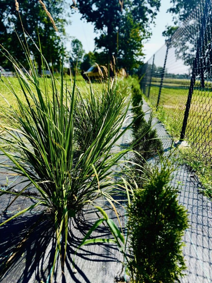 Działka rekreacyjna Piaseczno. Zdjęcie 3