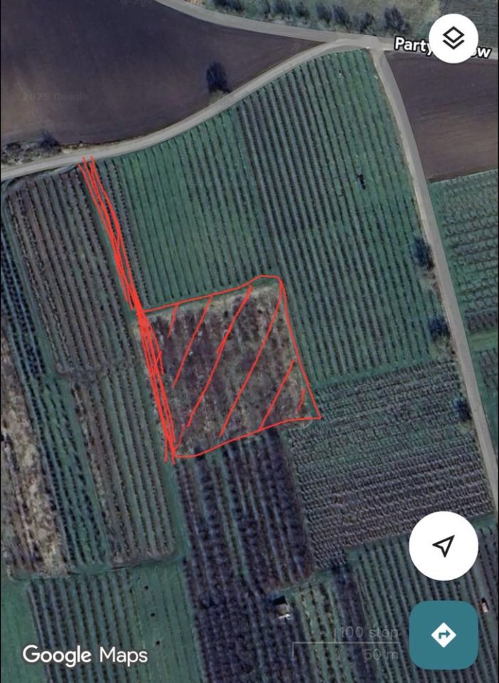 Działka rolno-budowlana Kobierniki. Zdjęcie 2