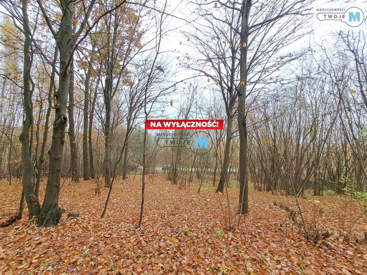 Działka Chęciny