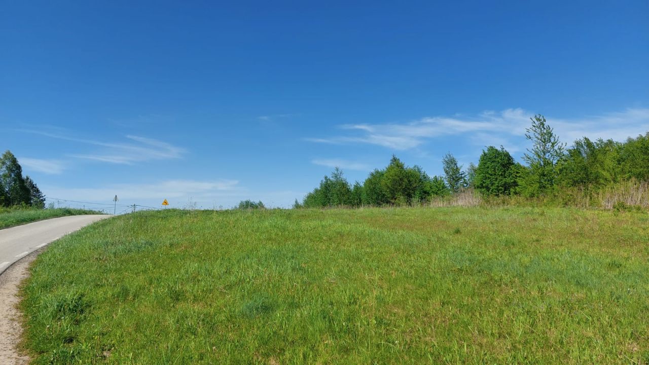 Działka siedliskowa Brzeziny. Zdjęcie 4