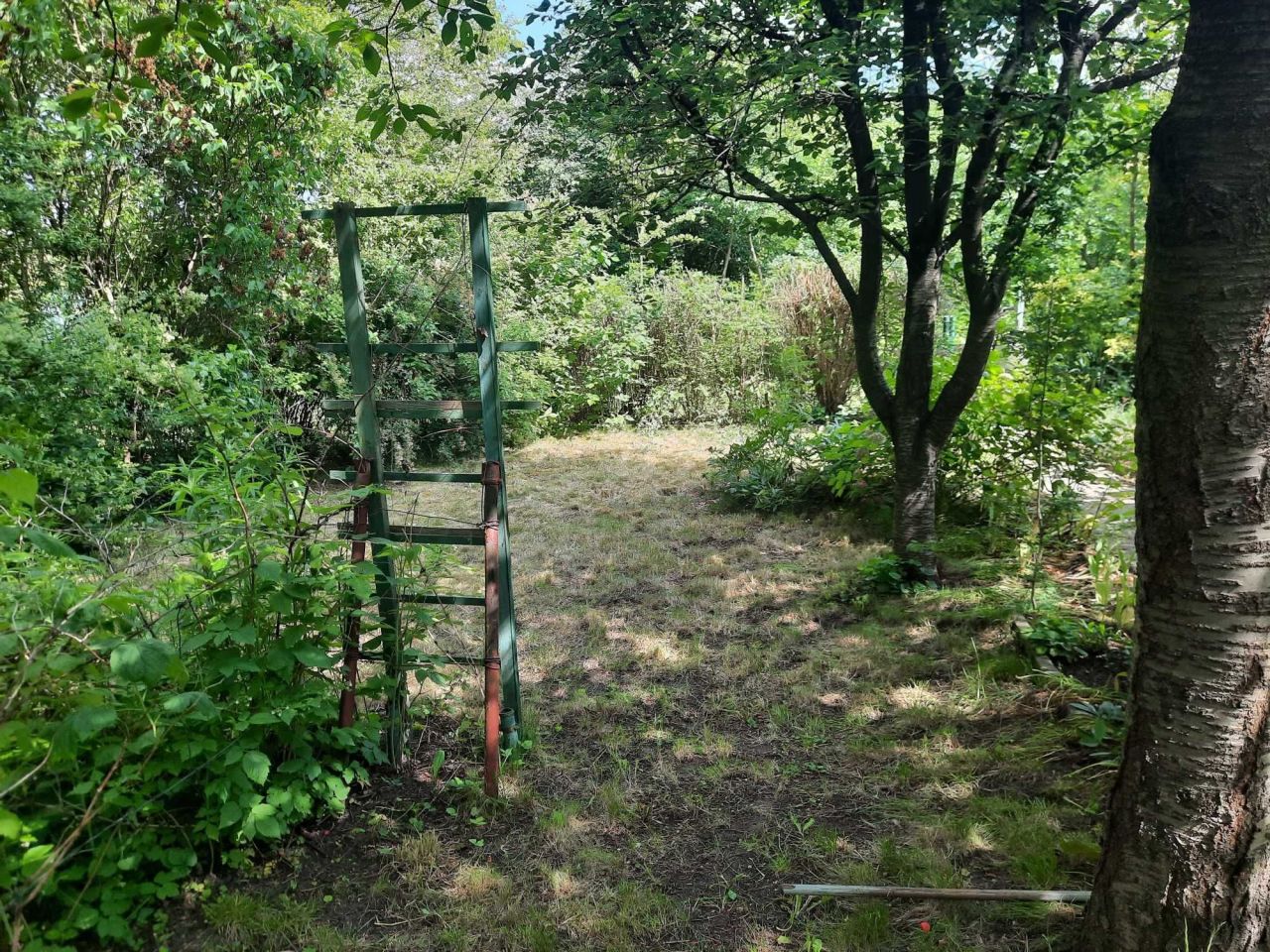 Działka rod Wrocław Krzyki, ul. Józefa Supińskiego. Zdjęcie 5