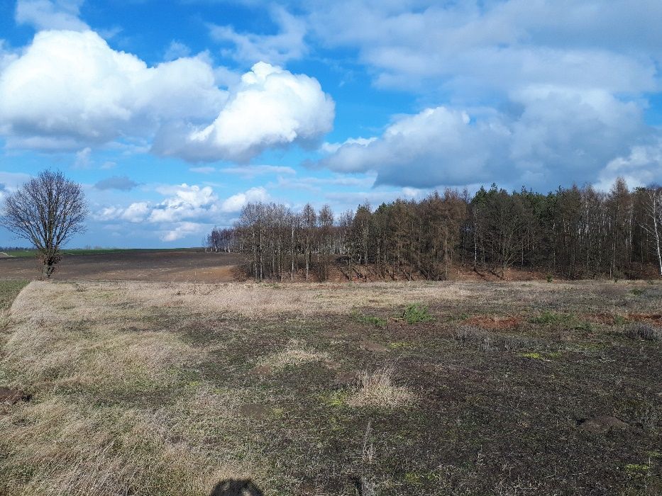 Działka budowlana Rzymiec. Zdjęcie 5