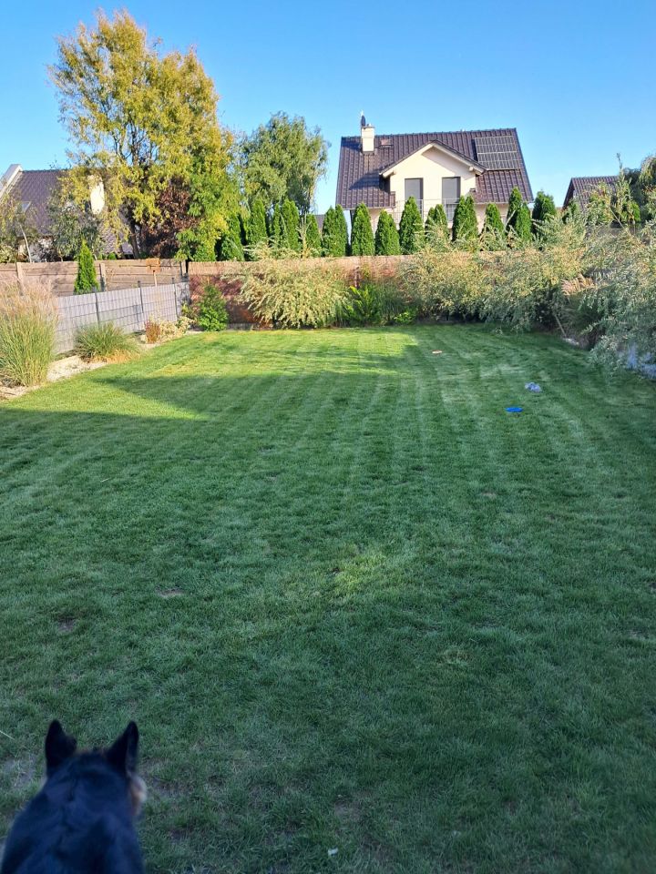 bliźniak Opole. Zdjęcie 7