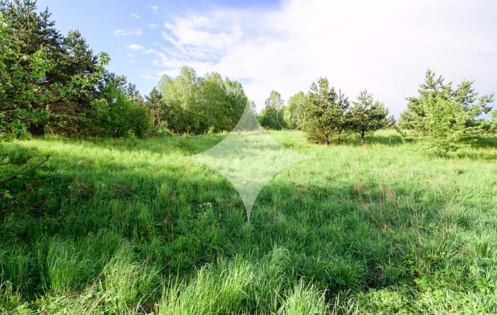 Działka rolna Łapka. Zdjęcie 7