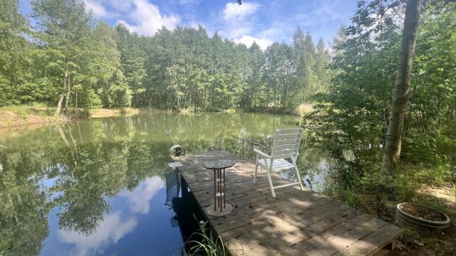 Działka rekreacyjna Osieczna. Zdjęcie 27