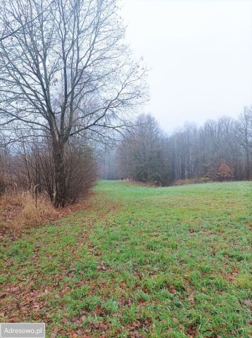 Działka Krzyszkowice. Zdjęcie 1