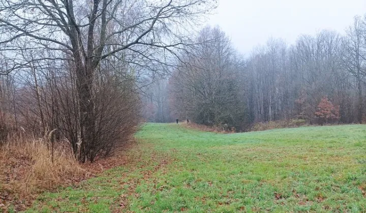 Działka Krzyszkowice