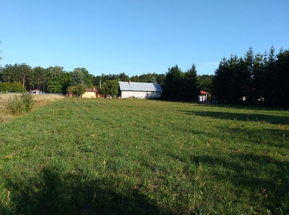 Działka rolna Brzeźce, ul. Główna. Zdjęcie 5