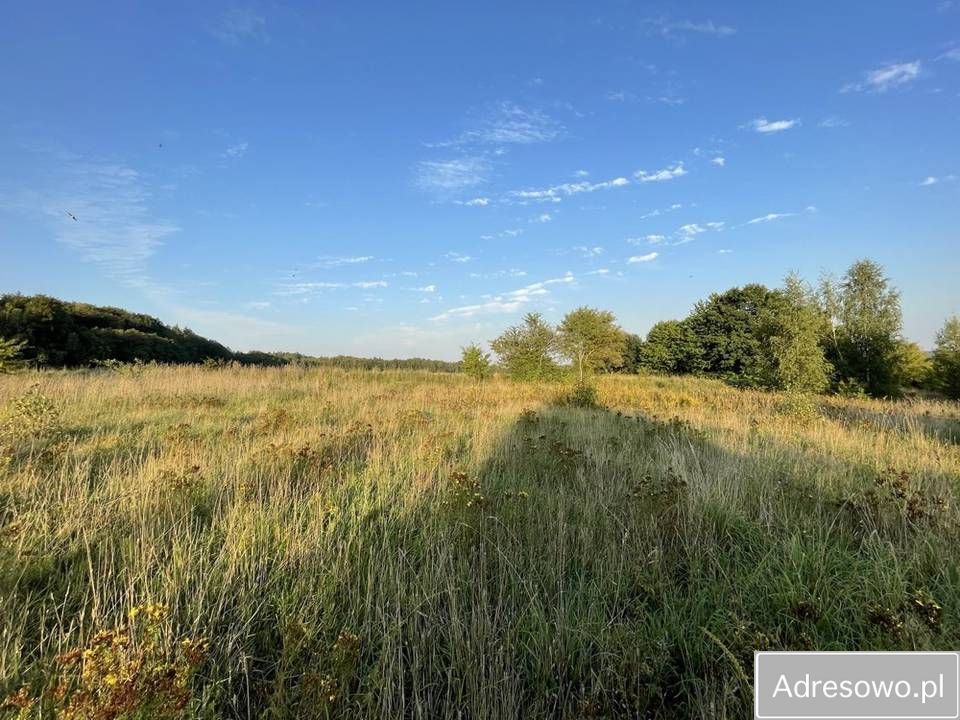 Działka rolna Mechowo. Zdjęcie 2