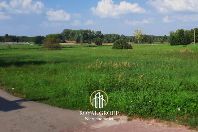 Działka rolna Rudno. Zdjęcie 7