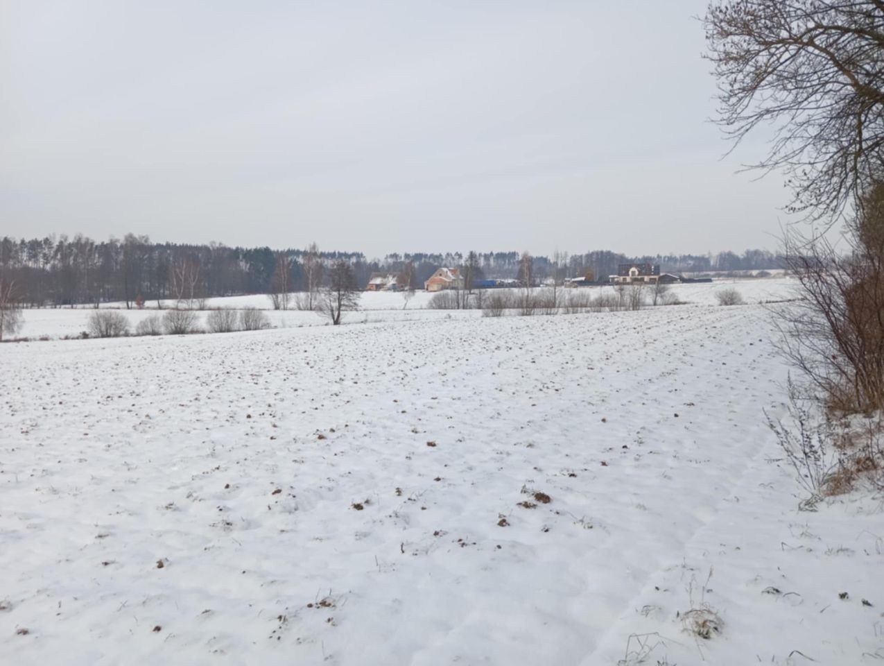 Działka rolno-budowlana Żalno, ul. Dworcowa. Zdjęcie 8