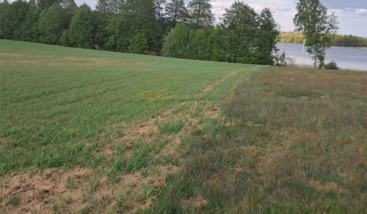 Działka inwestycyjna Jabłonowo