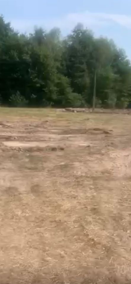 Działka budowlana Pustków. Zdjęcie 4