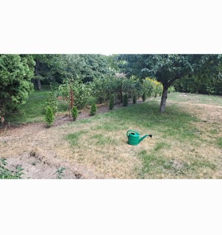 Działka rod Milanówek Turczynek, ul. Turczynek. Zdjęcie 1