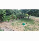 Działka rod Milanówek Turczynek, ul. Turczynek