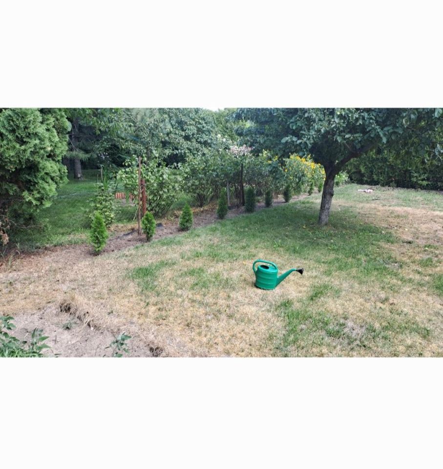 Działka rod Milanówek Turczynek, ul. Turczynek