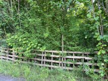 Działka rod Katowice Ligota, ul. Szadoka. Zdjęcie 4