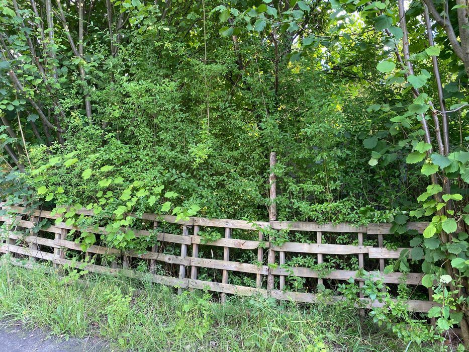 Działka rod Katowice Ligota, ul. Szadoka. Zdjęcie 5