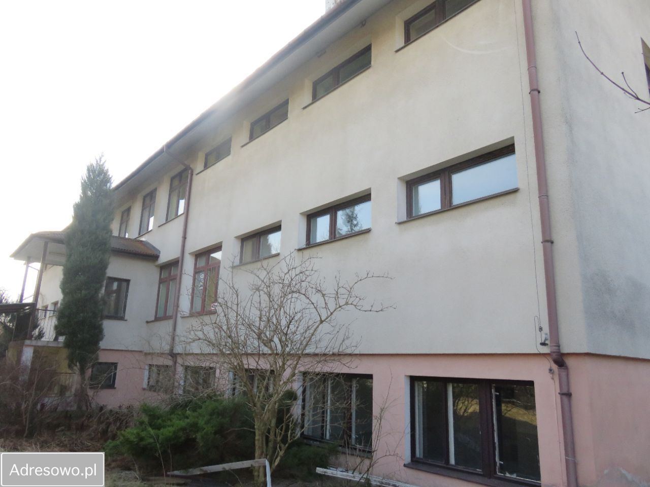 Lokal Paprotnia. Zdjęcie 8