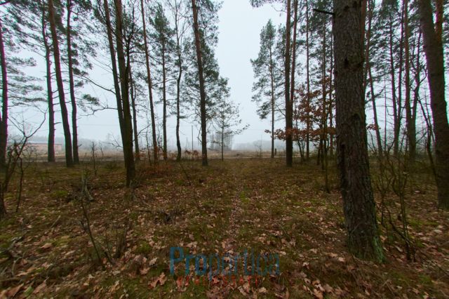 Działka budowlana Opaleniec. Zdjęcie 14