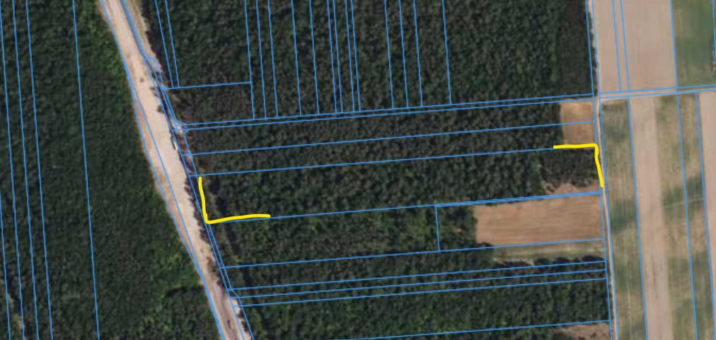 Działka leśna Stare Modzele. Zdjęcie 5