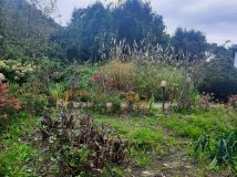 Działka rod Wagowo Wiśniewo. Zdjęcie 1