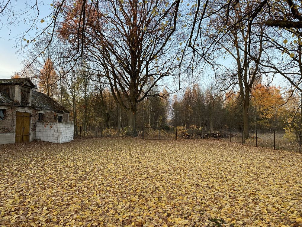 Działka siedliskowa Gręzówka-Kolonia. Zdjęcie 6