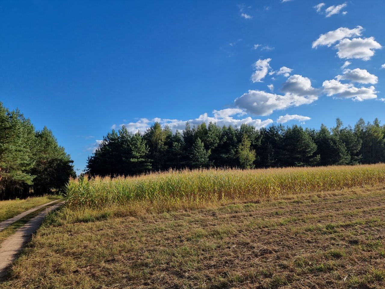 Działka budowlana Trypucie. Zdjęcie 4