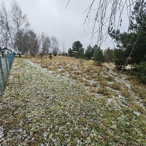 Działka rolno-budowlana Karsk. Zdjęcie 1