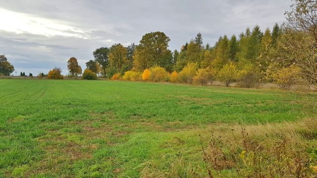 Działka budowlana Przedecz. Zdjęcie 5