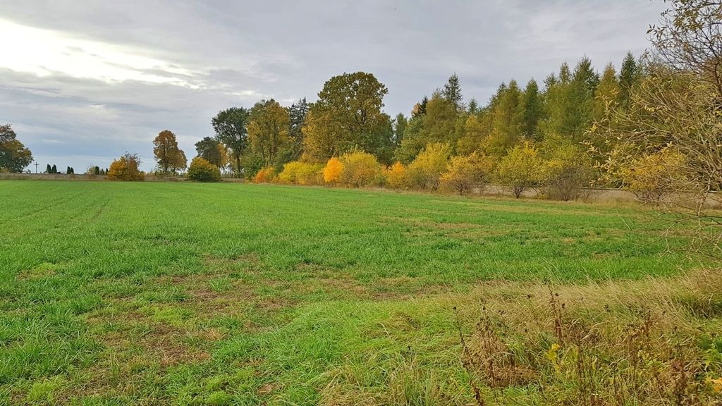 Działka budowlana Przedecz. Zdjęcie 5