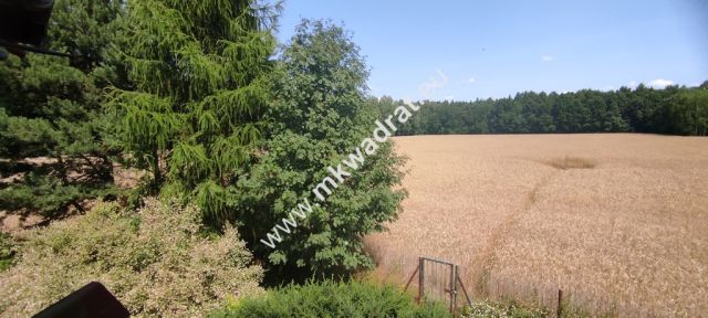 siedlisko, 3 pokoje Budy Wolskie. Zdjęcie 12